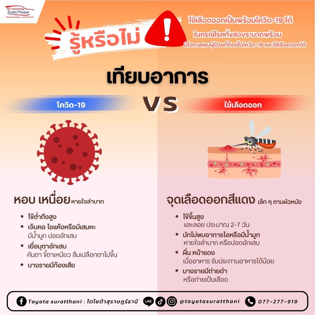 เป็นไข้หน้าฝนอย่าชะล่าใจ เทียบอาการ “โควิด-19 Vs ไข้เลือดออก”